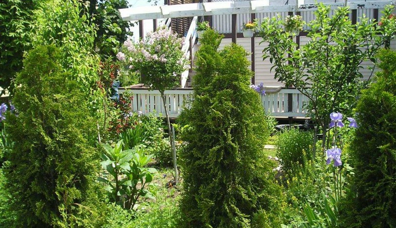 Apartment Bridge Street Niagara Falls - Apt 24835